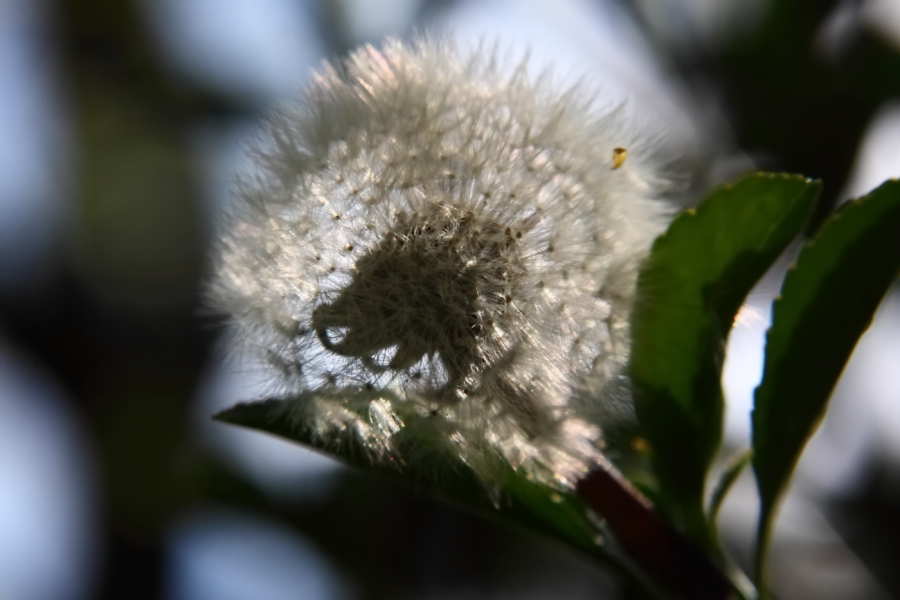 2012 05 10 2318
